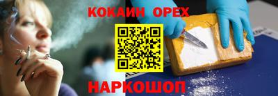 дмт Аргун