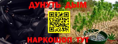 сатива Апшеронск