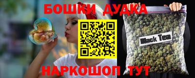дмт Аргун