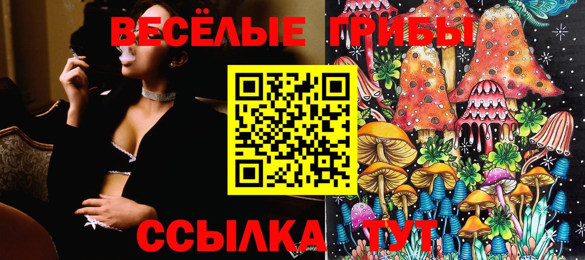 Псилоцибиновые грибы Psilocybe Аргун