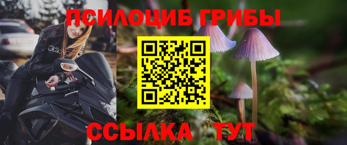 Псилоцибиновые грибы мухоморы  наркошоп  Аргун  Вход с VPN 